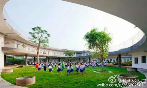 建一座 农场幼儿园 ,毕竟童年只有一次