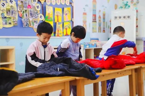 济南市七里山幼儿园构建“四汇”体系，科学推进幼小衔接